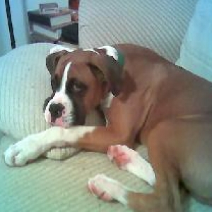 Look how big he has gotten