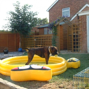 Lola in the paddling pool