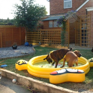 pool