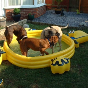 Pool7