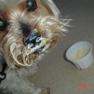 Messy Face