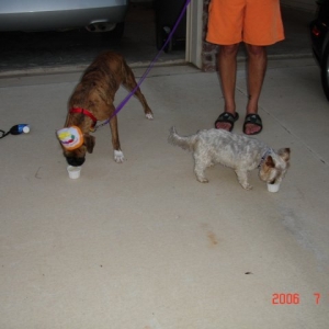 Eddie & Ginny