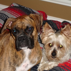 My babies
