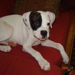 15 weeks and already 25.5 lbs..haha