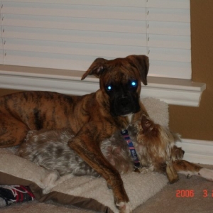 I love my Eddie!