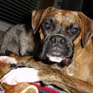 MY bone!