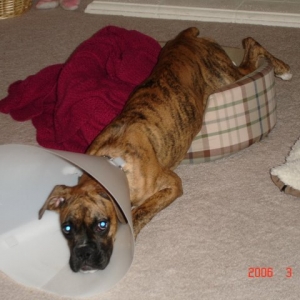 Poor baby