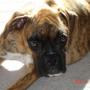 My pretty girl!