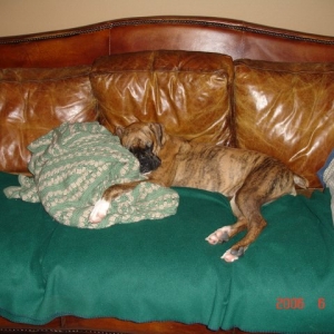 Sooo sleepy
