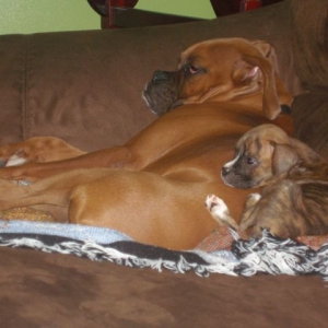 Watching TV w/ Xander