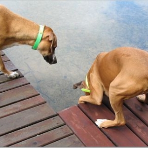 Don't Jump!