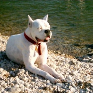 Jax at the River