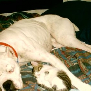 Jax and Rosie
