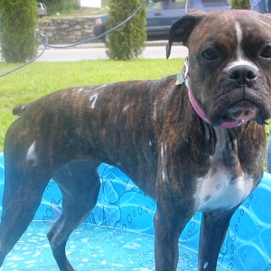 bath time