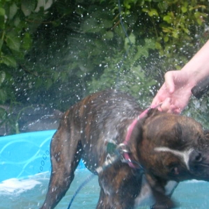 bath time!!!
