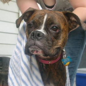 drying off
