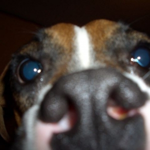 Enough of the Camera!!!