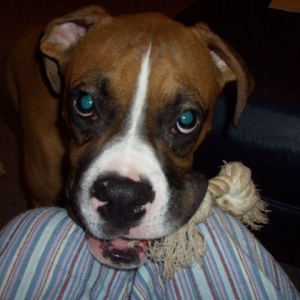 Please Play with Me!
