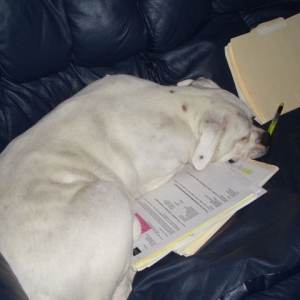 Manny helps mom work....
