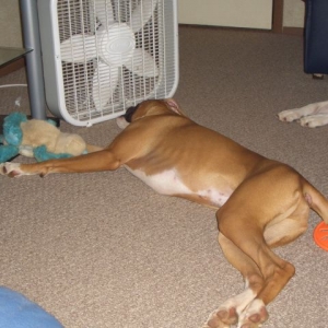 Cooling off