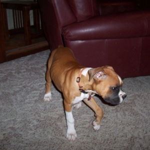 Riley_Growing_Big_