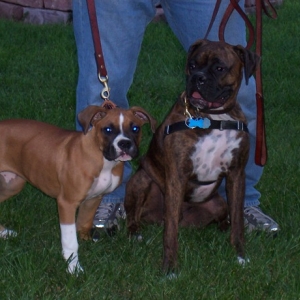 Our_Babies_