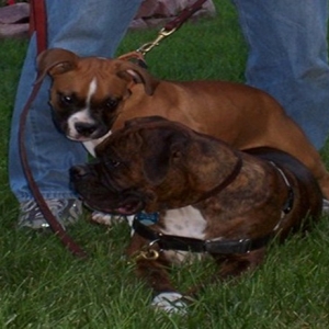 Riley_loves_Max_