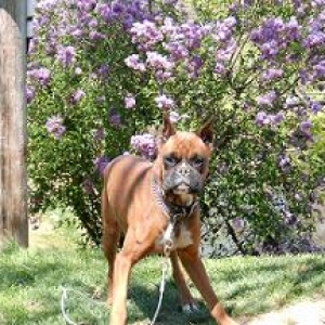 Spike April 2006