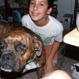 Cheesy doggy!