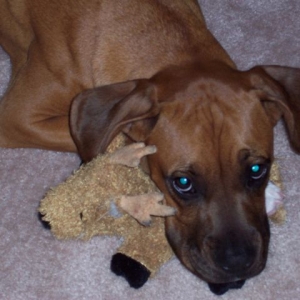 Addie with her deer