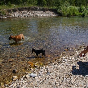 Swimmin!