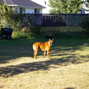 Standing Guard