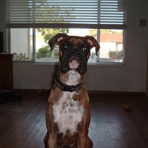 Zeus - 11 Months