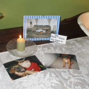 Memorial for Joe