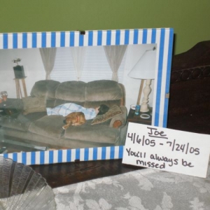 Memorial for Joe pic2