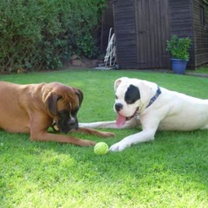 Dont touch the tennis ball!!