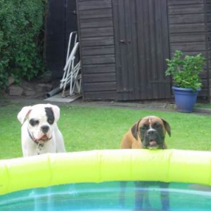 Can we get in too?
