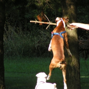 In the air