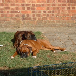 Best friends