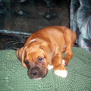 Dozer first Night, 7-06