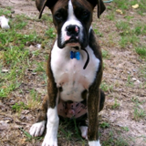 Asher at 6 1/2 months