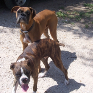 Asher and Emmitt