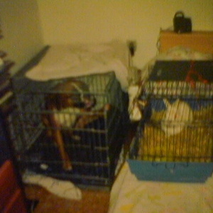 crates not to have accidents