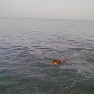 swimming