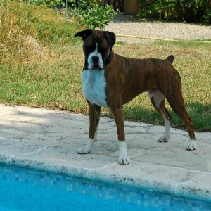 Poolside again