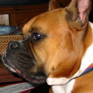 Handsome profile