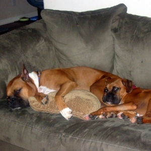 Soft pillow