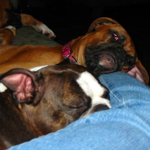 Sleeping