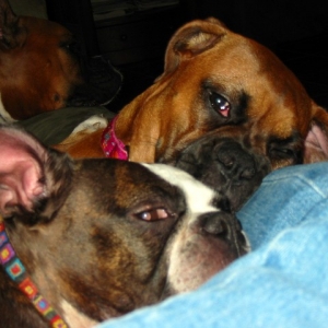 Disturbing our beauty sleep