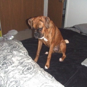 Kaybie 9.5 months old